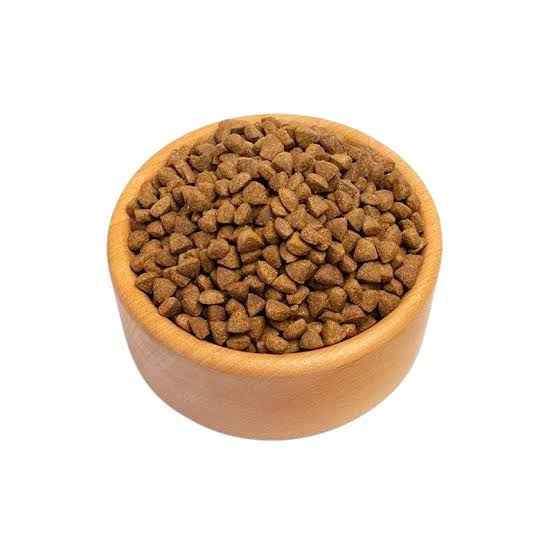 غذای خشک گربه