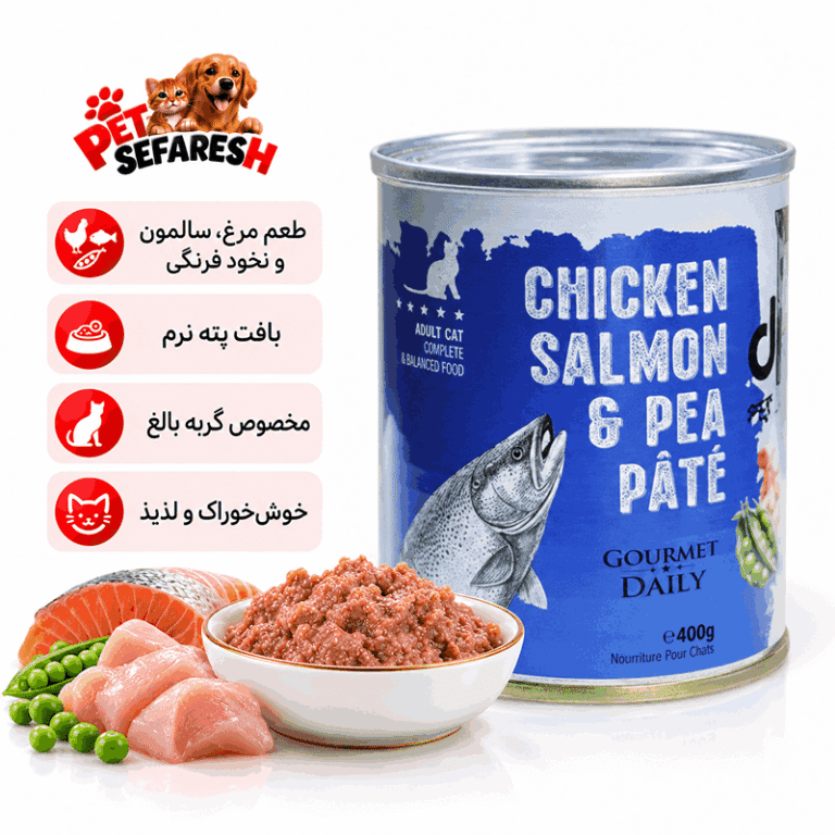 تصویر محصول کنسرو پته گربه DPS طعم مرغ، سالمون و نخود فرنگی وزن ۴۰۰ گرم با بسته‌بندی اصلی، مناسب معرفی غذای مرطوب گربه در فروشگاه اینترنتی پت سفارش.