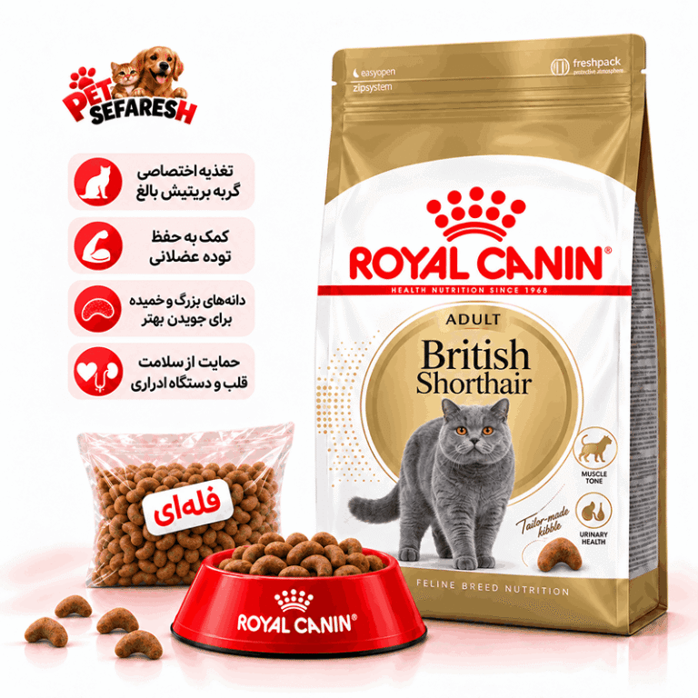 غذای خشک فله‌ای گربه بریتیش رویال کنین مدل ادالت | Royal Canin British Shorthair Adult Dry Cat Food