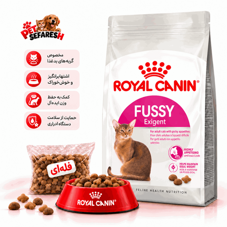 غذای خشک فله‌ای گربه بدغذا رویال کنین مدل فاسی اگزیجنت | Royal Canin Fussy Exigent Adult Dry Cat Food