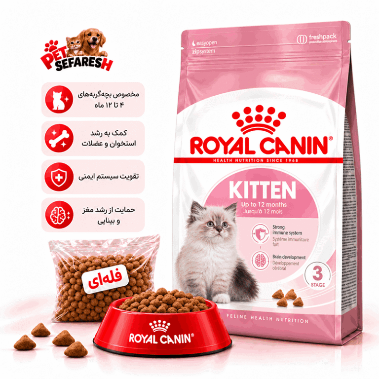 غذای خشک فله‌ای بچه‌گربه رویال کنین مدل کیتن | Royal Canin Kitten Dry Cat Food