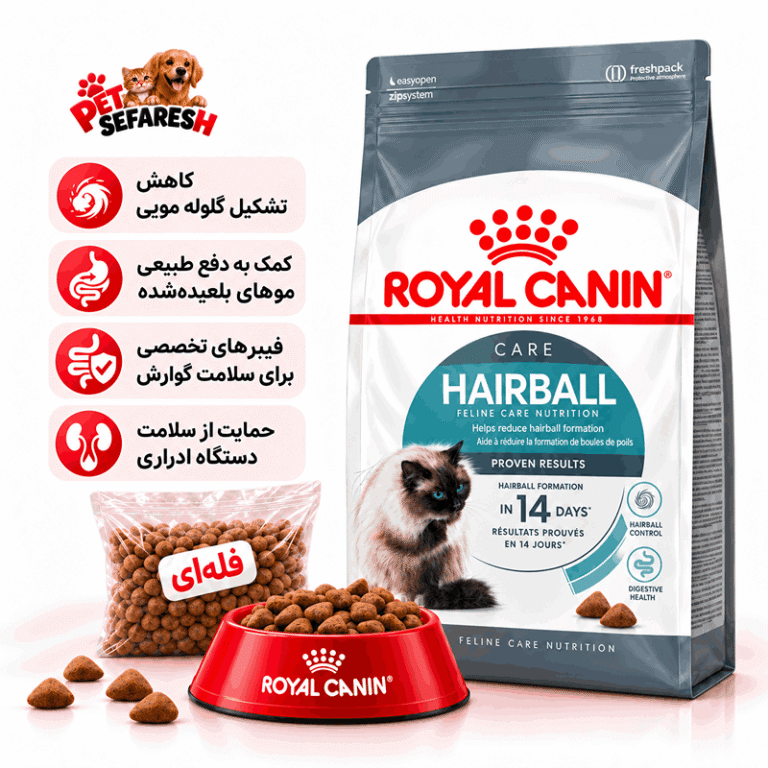 غذای خشک فله‌ای گربه رویال کنین Hairball Care برای کاهش گلوله مویی