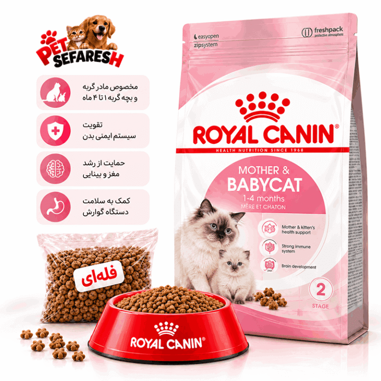 غذای خشک فله‌ای مادر و بچه گربه رویال کنین مدل مادر اند بیبی | Royal Canin Mother & Babycat Dry Cat Food