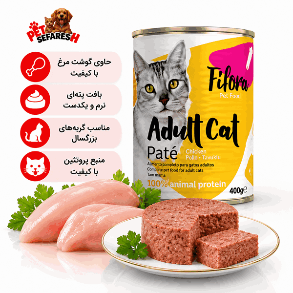 تصویر کنسرو غذای گربه فیفورا با طعم مرغ و وزن ۴۰۰ گرم، محصولی با ترکیبات گوشتی و مکمل‌های تغذیه‌ای برای استفاده در برنامه غذایی گربه.