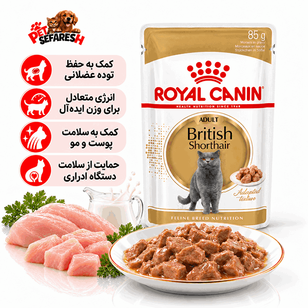 پوچ گربه بریتیش شورت‌هیر رویال کنین ۸۵ گرمی غذای مرطوب تکه‌ای در سس