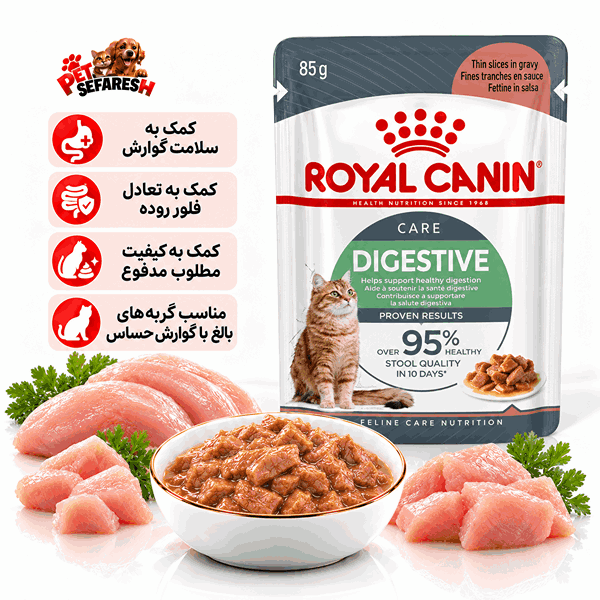 تصویر پوچ گربه رویال کنین مدل Digestive Care با وزن ۸۵ گرم؛ غذای مرطوب کامل گربه بالغ با بافت تکه‌ای در سس و فرمول تغذیه‌ای طراحی‌شده برای پشتیبانی از هضم مناسب، حفظ کیفیت مدفوع و کاهش بوی نامطلوب آن.