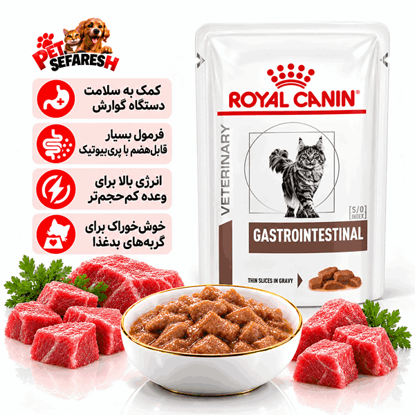 تصویر پوچ گربه رویال کنین مدل Gastrointestinal با وزن ۸۵ گرم؛ غذای مرطوب رژیمی دامپزشکی با قابلیت هضم بالا، تراکم انرژی مناسب و ترکیب متعادل فیبرها برای کمک به مدیریت تغذیه‌ای مشکلات گوارشی گربه.