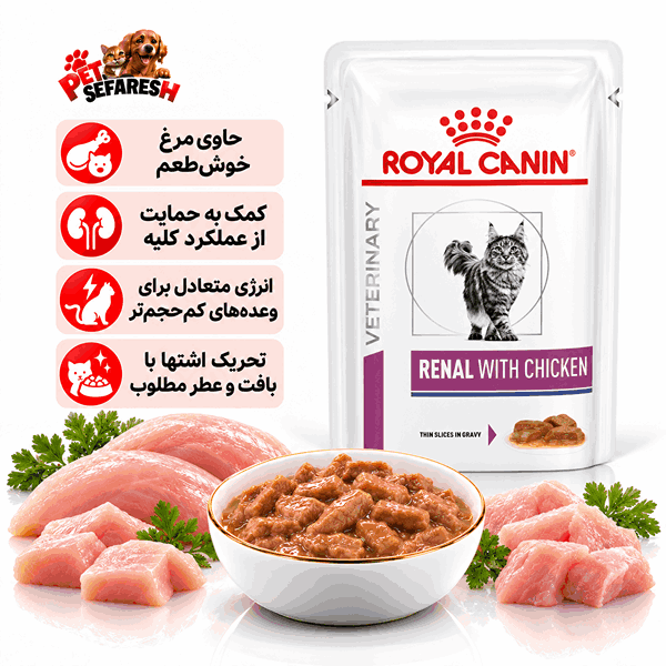 تصویر پوچ گربه رویال کنین مدل Renal with Chicken با وزن ۸۵ گرم؛ غذای مرطوب رژیمی دامپزشکی با فسفر محدود و پروتئین باکیفیت و متناسب برای پشتیبانی از عملکرد کلیه در گربه‌های بالغ، مطابق توصیه دامپزشک.