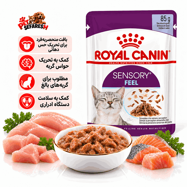 تصویر پوچ گربه رویال کنین مدل Sensory Feel با وزن ۸۵ گرم؛ غذای مرطوب کامل گربه بالغ با بافت ویژه، طراحی‌شده برای تحریک حس بافت در دهان، غنی‌ترکردن تجربه غذاخوردن و کمک به حفظ سلامت دستگاه ادراری.