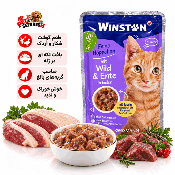 پوچ گربه وینستون با طعم گوشت شکار و اردک ۱۰۰ گرم