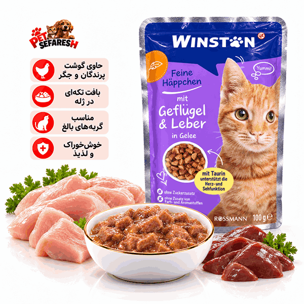 پوچ گربه وینستون با طعم گوشت پرندگان و جگر ۱۰۰ گرم
